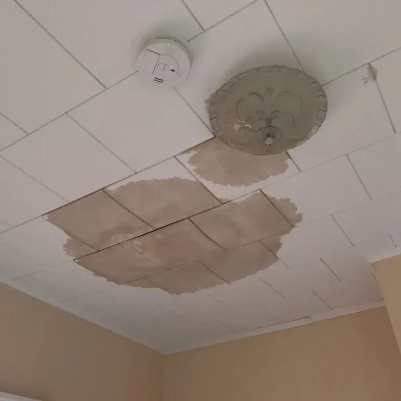Ceiling Water Damage Repair in Pike County, OH
