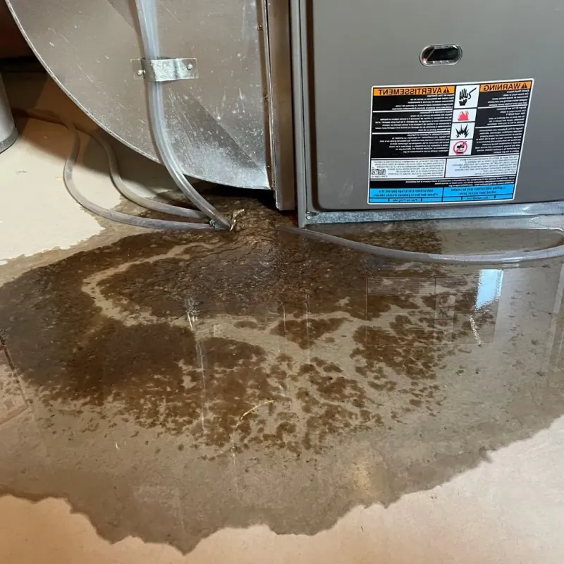 Pipe Burst and Leak Restoration in Pike County, OH