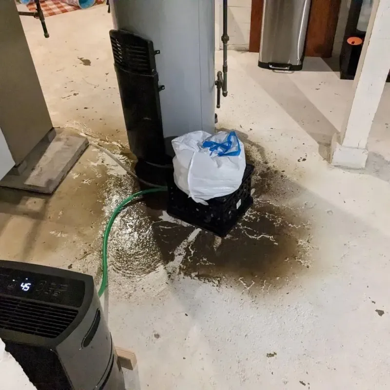 Sewage Backup Cleanup Service in Pike County, OH